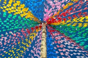 Junina