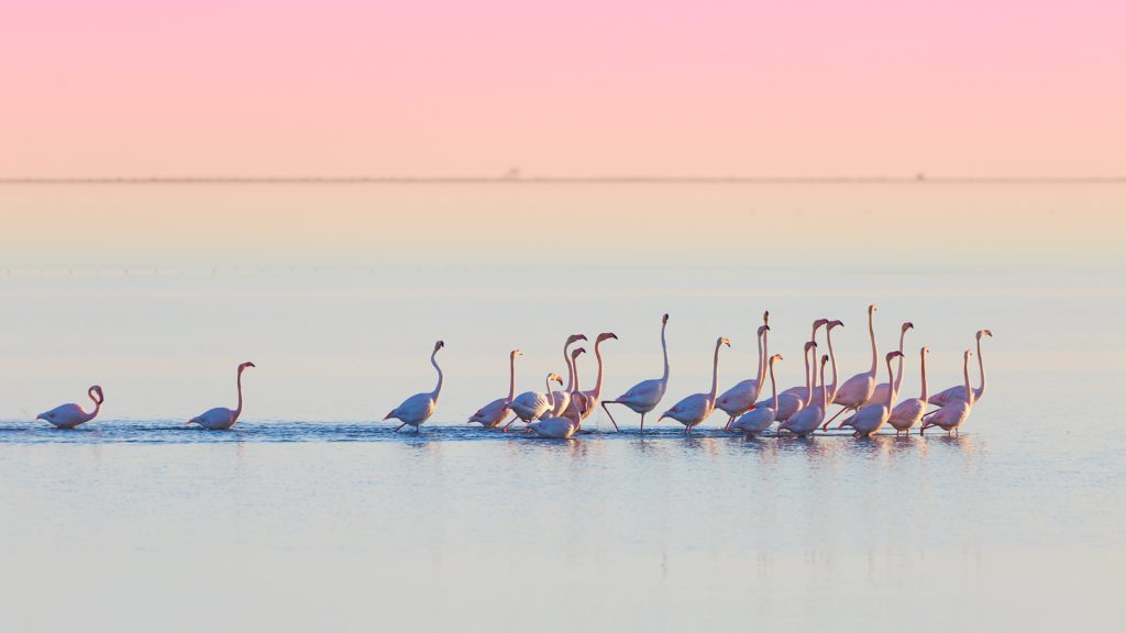 Delta Ebro