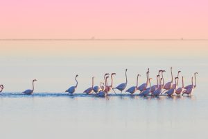 Delta Ebro