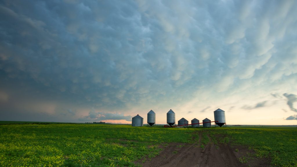 Grain Silos SK