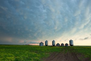 Grain Silos SK