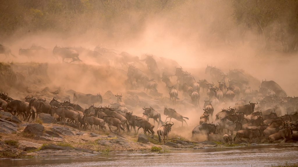 Mara Crossing