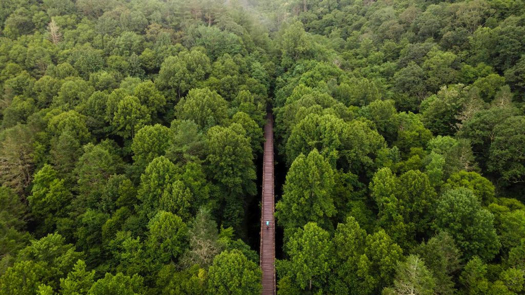 Virginia Trail