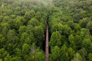 Virginia Trail