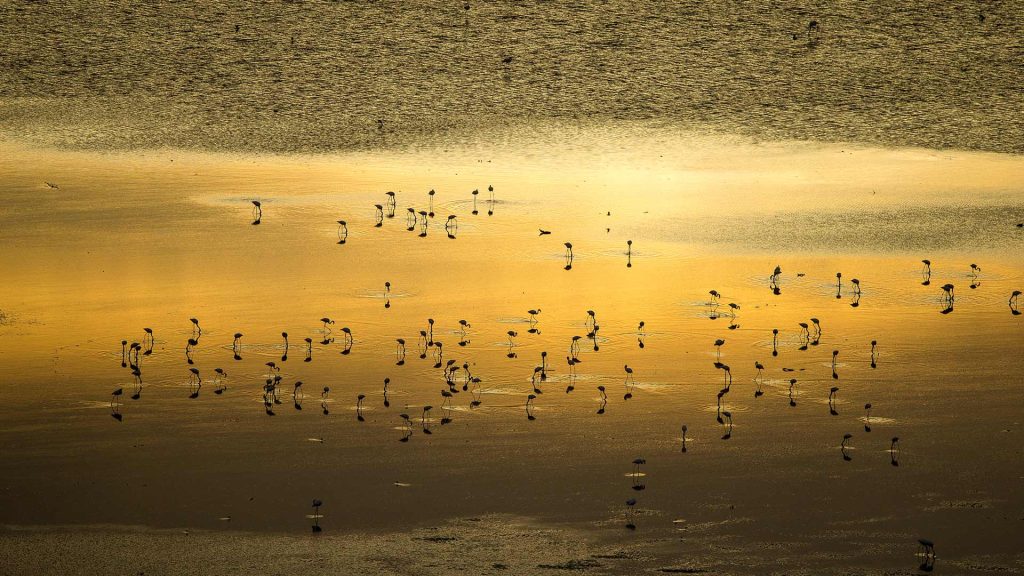 Lake Magadi