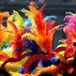 Notting Hill Carnival2026