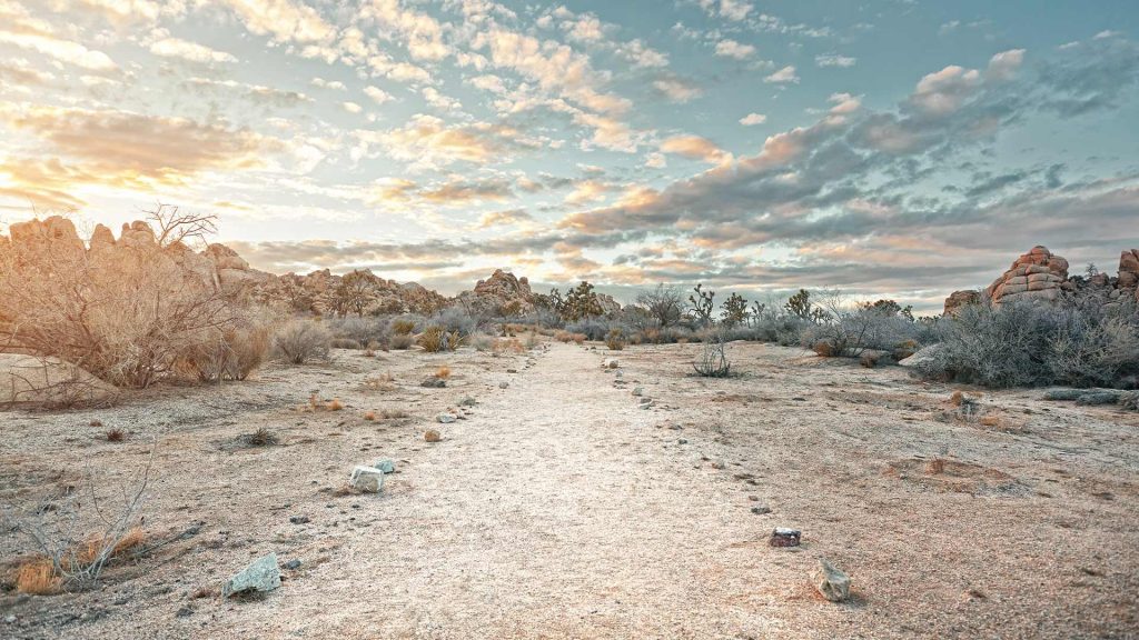 Sand Path