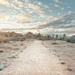 Sand Path