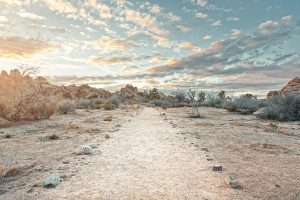 Sand Path