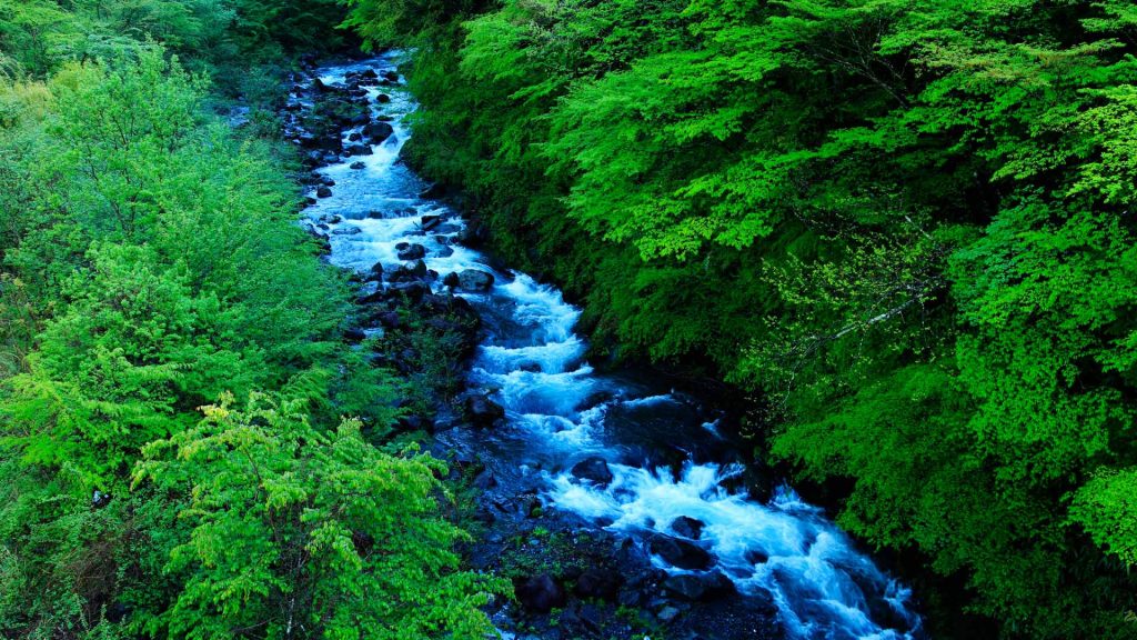 Shizuoka Summer2026