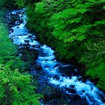 Shizuoka Summer2026