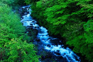 Shizuoka Summer 2026