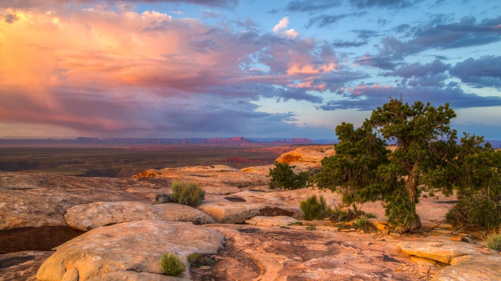 Bears Ears
