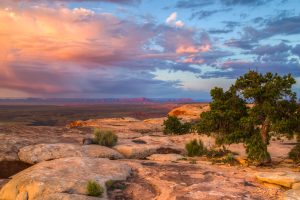 Bears Ears