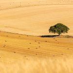Beech England