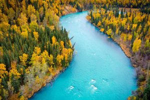 Kasilof River