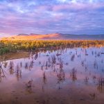 Lake Fyans