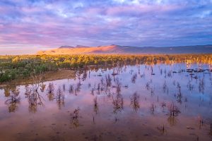 Lake Fyans