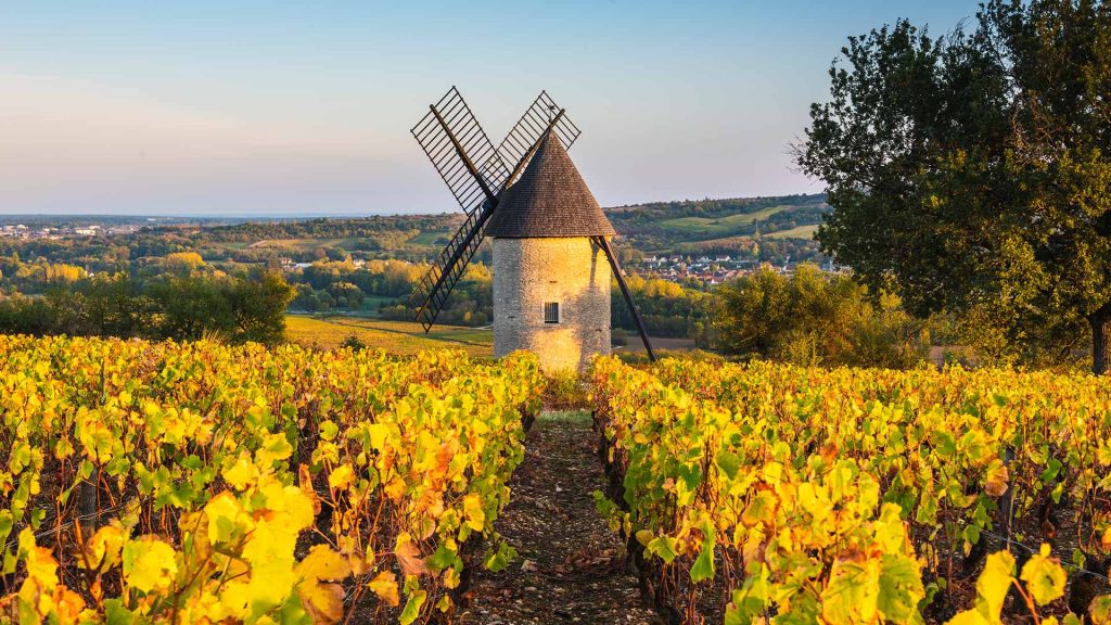 Santenay