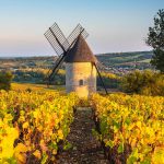 Santenay