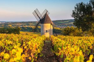 Santenay
