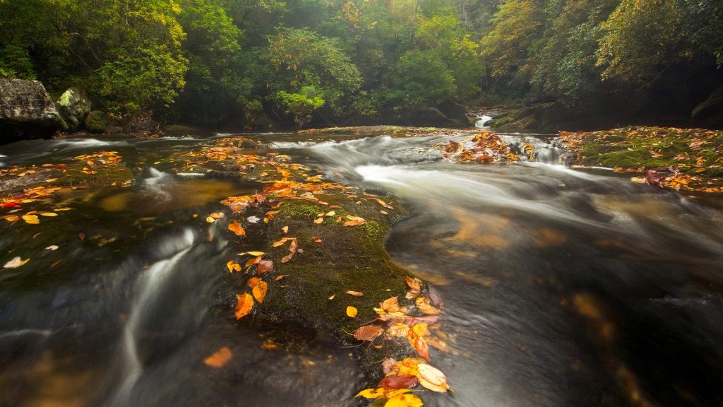 Chattooga River