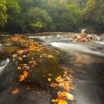 Chattooga River
