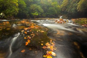 Chattooga River