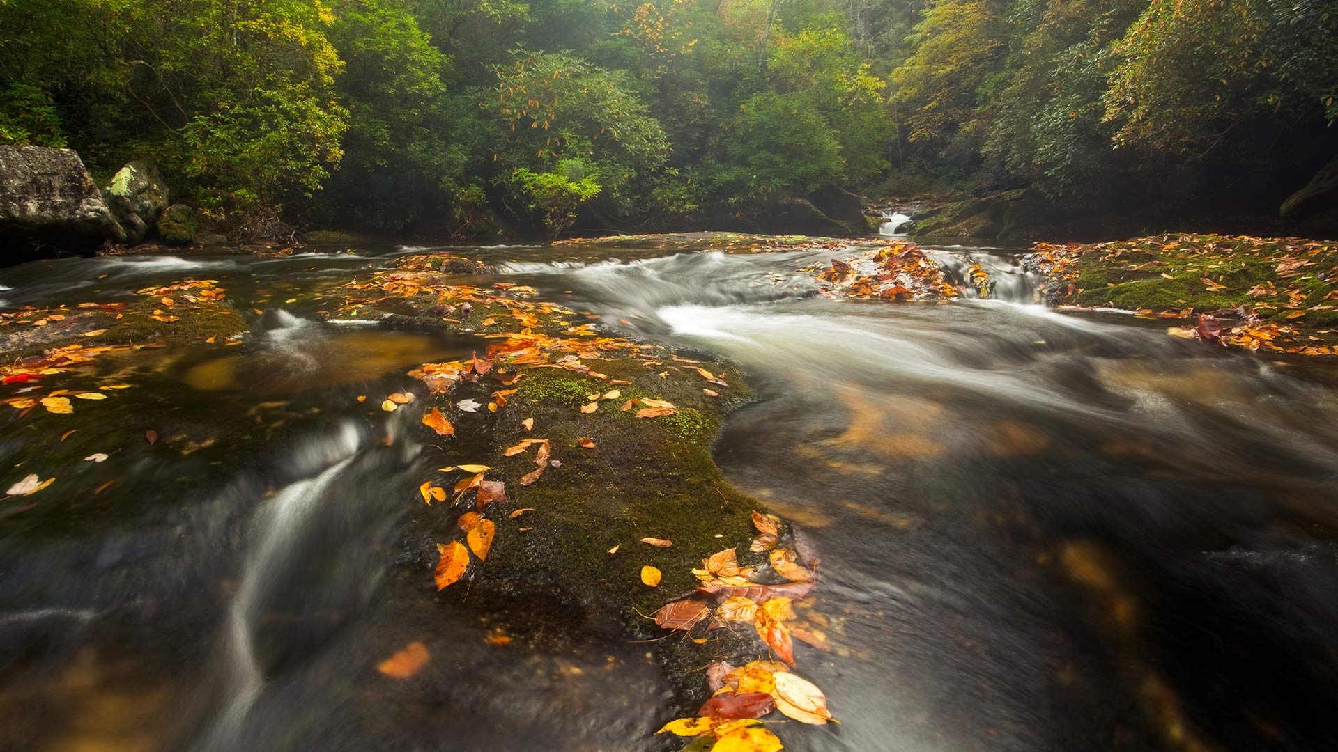 Chattooga River