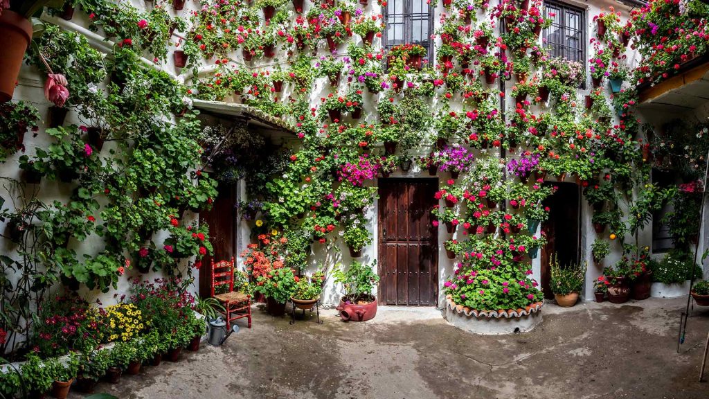 Cordoba Patios