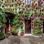 Cordoba Patios