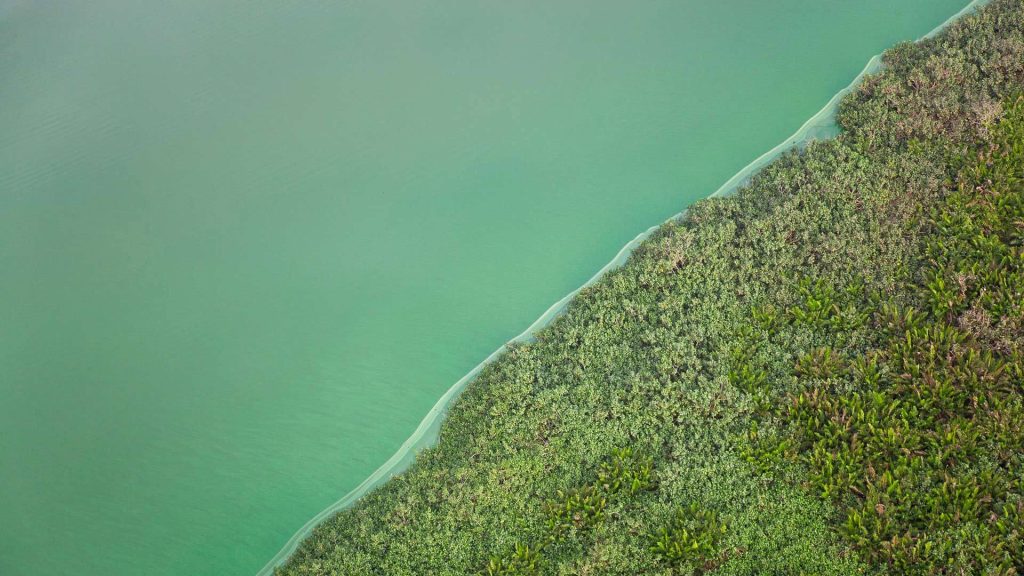 Green Lake