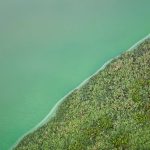 Green Lake