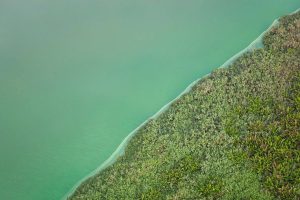Green Lake