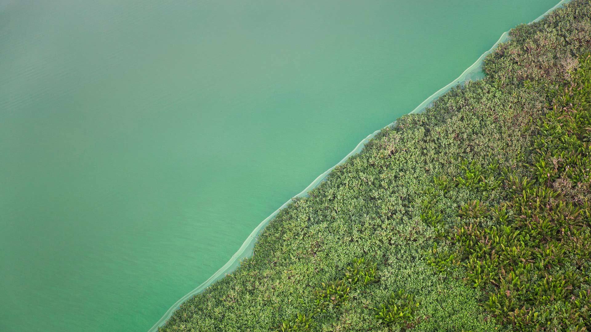 Green Lake