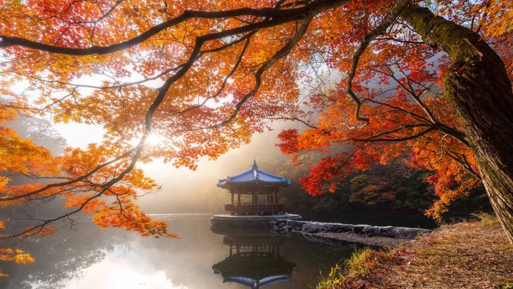 Naejangsan NP