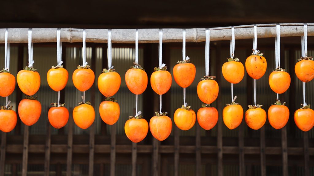 Persimmons2026