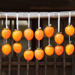 Persimmons2026