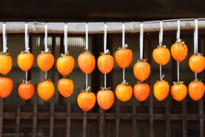 Persimmons2026
