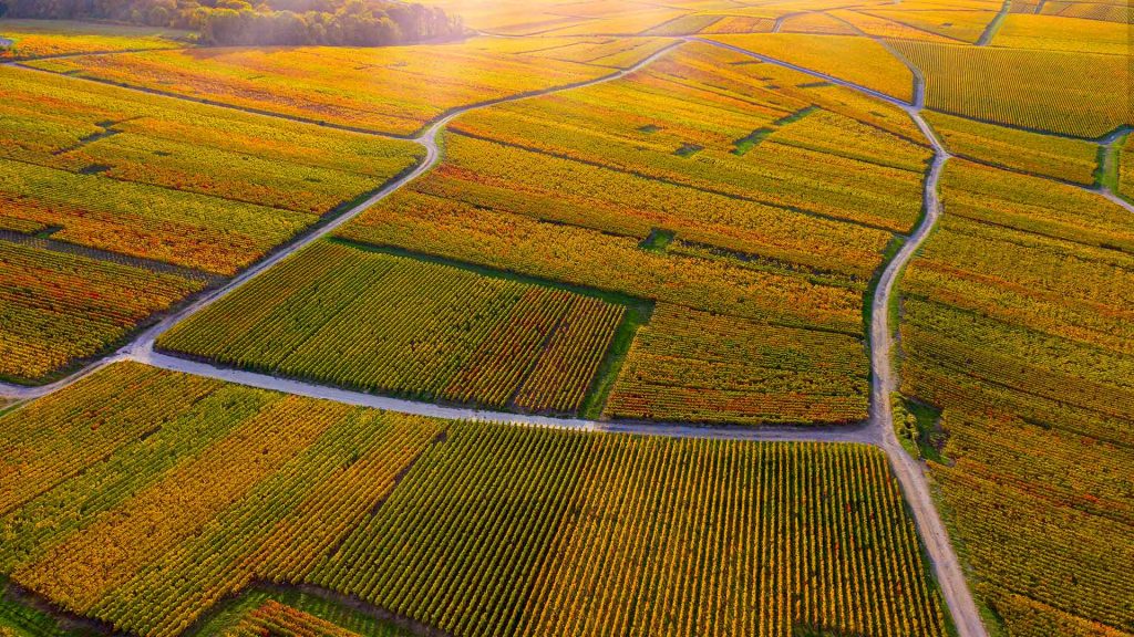 Reims Champagne – Bing Wallpaper Download